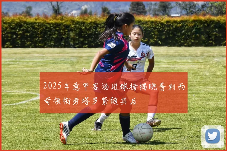 2025年意甲客场进球榜揭晓普利西奇领衔劳塔罗紧随其后