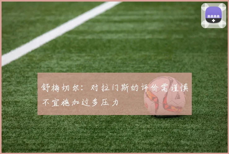 舒梅切尔：对拉门斯的评价需谨慎不宜施加过多压力