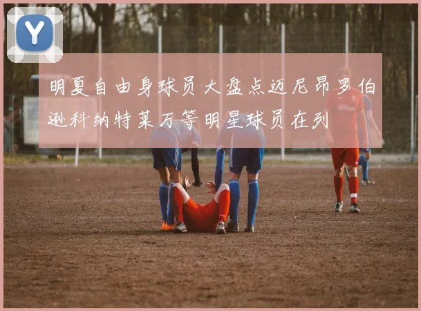 明夏自由身球员大盘点迈尼昂罗伯逊科纳特莱万等明星球员在列