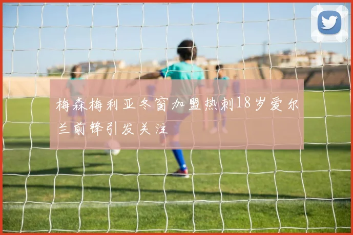 梅森梅利亚冬窗加盟热刺18岁爱尔兰前锋引发关注