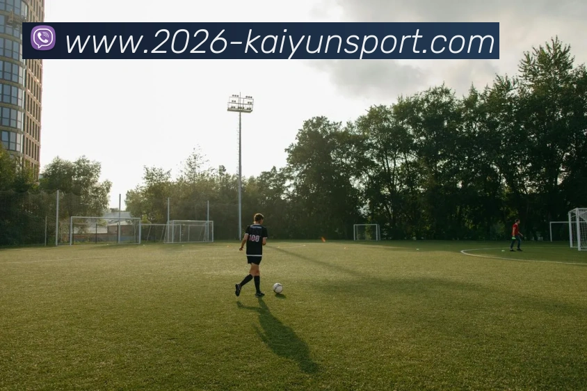 开云体育APP 高清赛事图